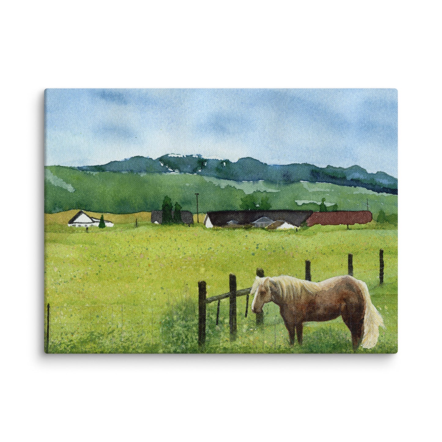 Palomino Watercolor Print Canvas